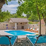 Maslina In Popovici Benkovac