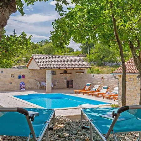Maslina In Popovici Benkovac