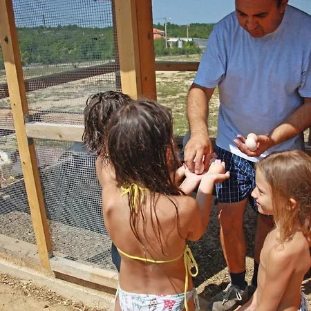 Maslina In Popovici Vila Benkovac