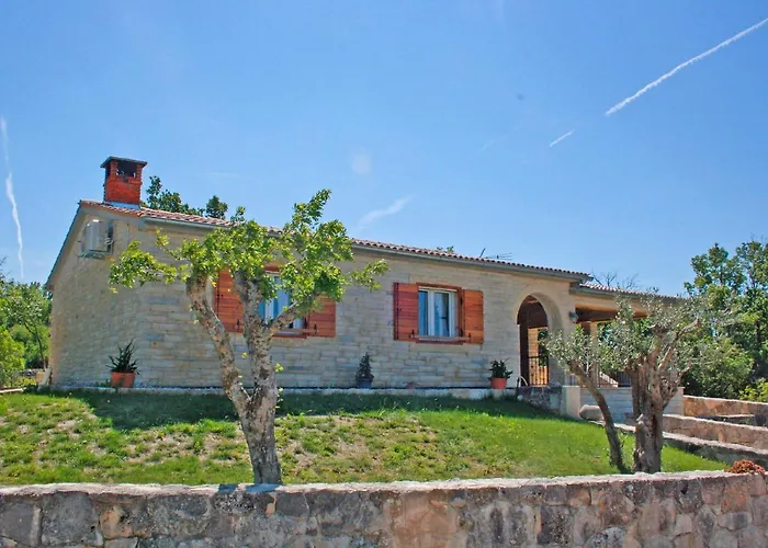 Maslina In Popovici * Бенковац